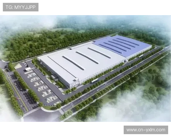 体育数字资产成本效益分析模型本月应用于项目决策